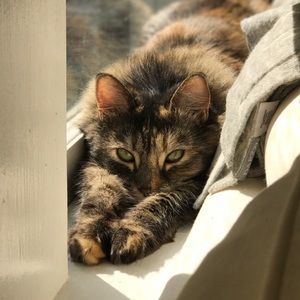 Meet your Posher, Perperla